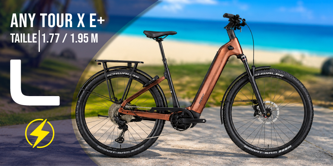 GIANT Electrique AnyTour X E+ Large
