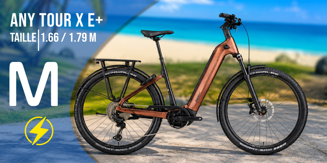 GIANT Electrique AnyTour X E+ Medium