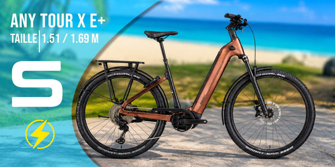 GIANT Electrique AnyTour X E+ Small